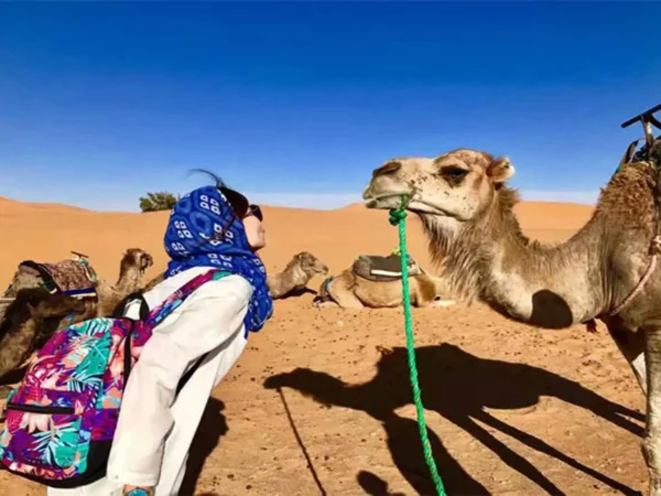 4-Day Morocco Desert Tour from Marrakech | Erg Chegaga